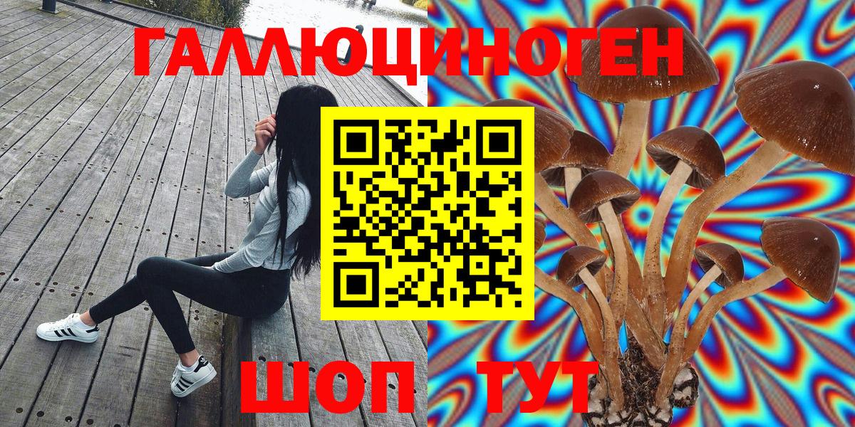 Галлюциногенные грибы прущие грибы  Вход с VPN  хочу наркоту  Искитим 
