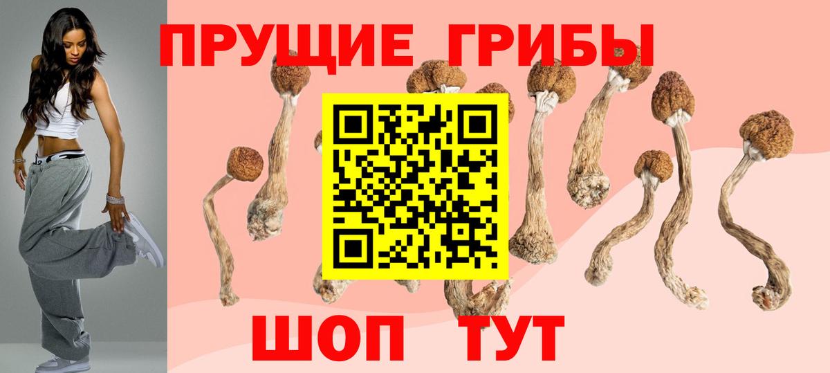 Псилоцибиновые грибы GOLDEN TEACHER Искитим